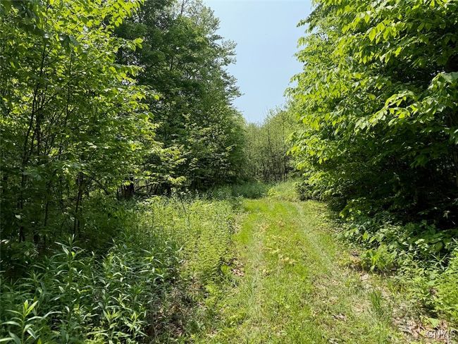 hiking trails | Image 47