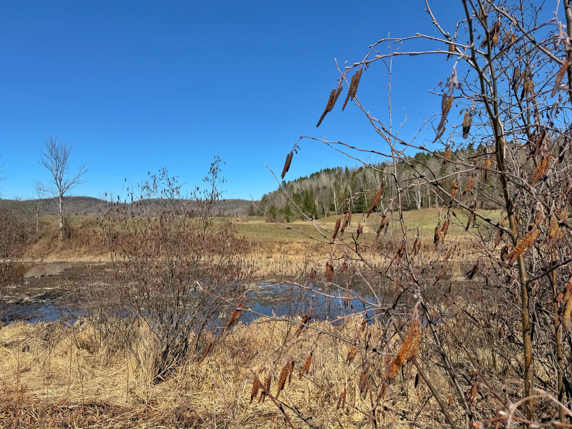 Land in Notre-Dame-de-la-Salette 3