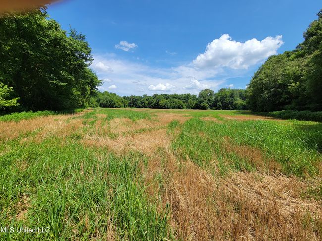 field pic 3 hogan | Image 6