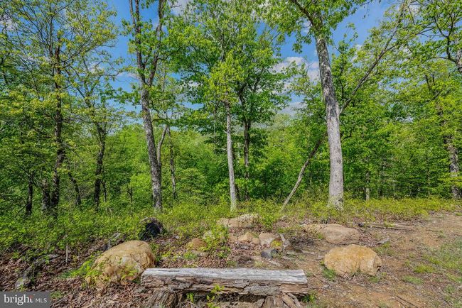 82 Vista River Ln, House other with 2 bedrooms, 1 bathrooms and null parking in Paw Paw WV | Image 32