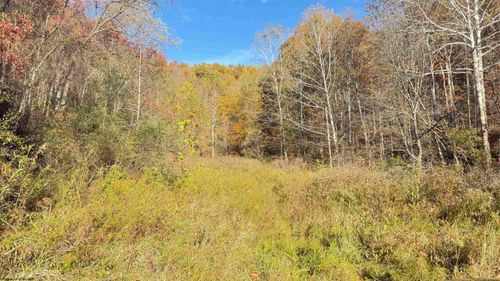 TBD Tenmile Rd, Wallace, WV, 26448 | Card Image