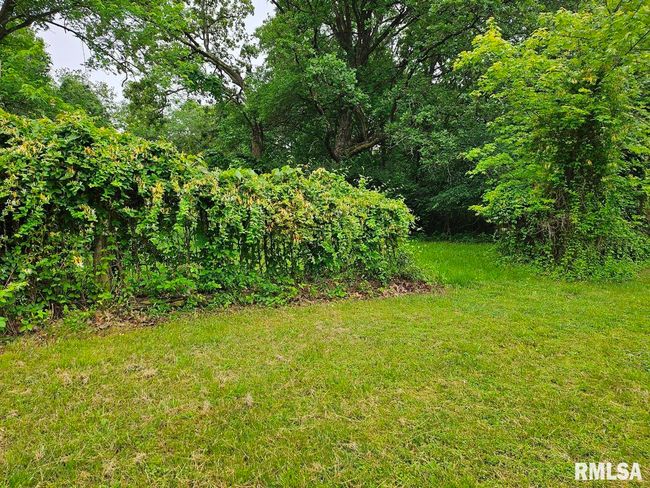 13973 Halliday Rd, Home with 2 bedrooms, 1 bathrooms and null parking in Plainview IL | Image 65