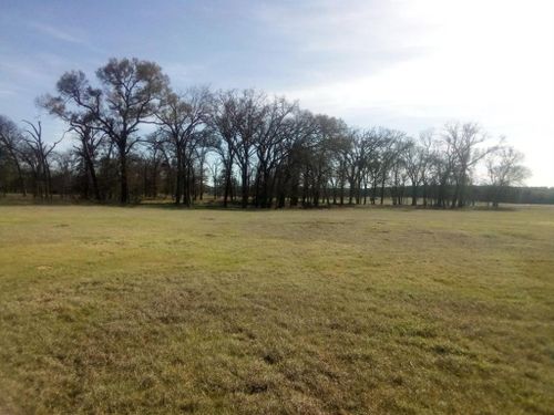 TR 87 County Road 231, Centerville, TX, 75833 | Card Image