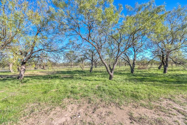 22+ Acres | Image 47