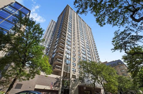1305-1313 N Ritchie Ct, Chicago, IL, 60610-5106 | Card Image