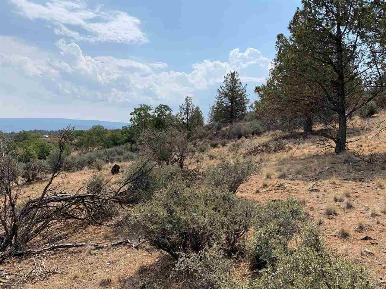 Land in Montague 3