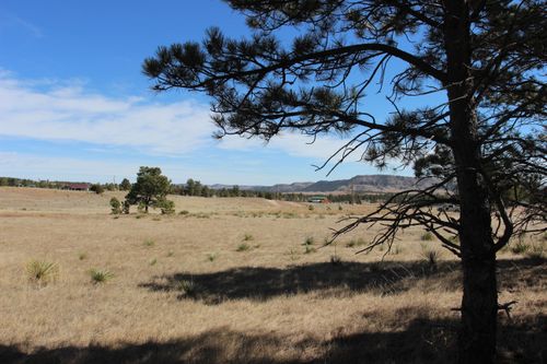 Tract 4 Lariat Circle, Hot Springs, SD, 57747-0000 | Card Image