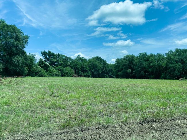5 W Carrington Ave, Home with 0 bedrooms, 0 bathrooms and null parking in Marquez TX | Image 12