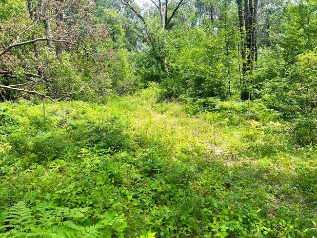 Lt0 Airport Rd, Home with 0 bedrooms, 0 bathrooms and null parking in Shawano WI | Image 9