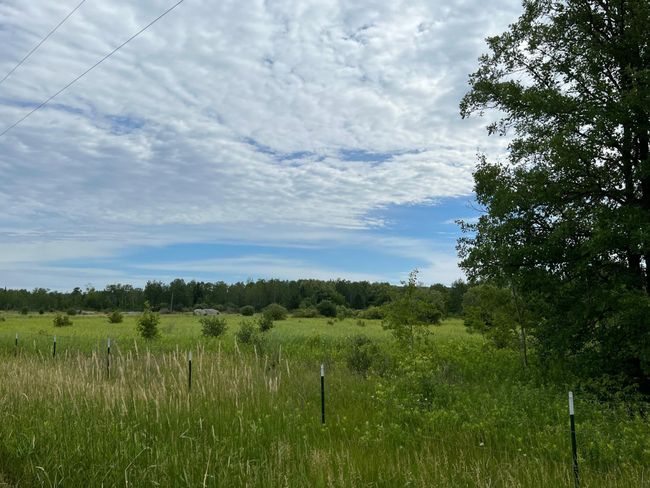 High quality fencing surrounding property | Image 20