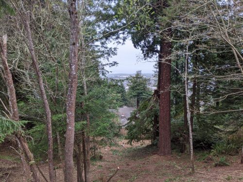 2950 Terrace Ave, Arcata, CA, 95521 | Card Image