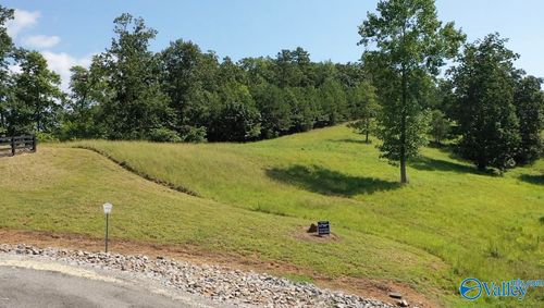 Lot 71 County Road 767, Cedar Bluff, AL, 35959-3216 | Card Image