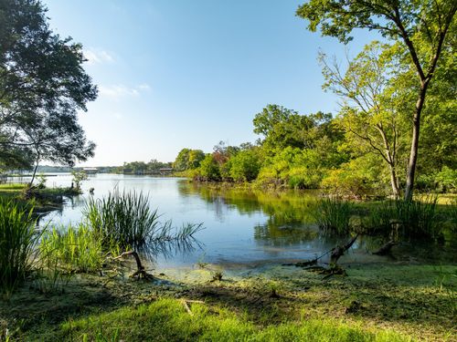 TBD Lcr 750, Thornton, TX, 76687 | Card Image