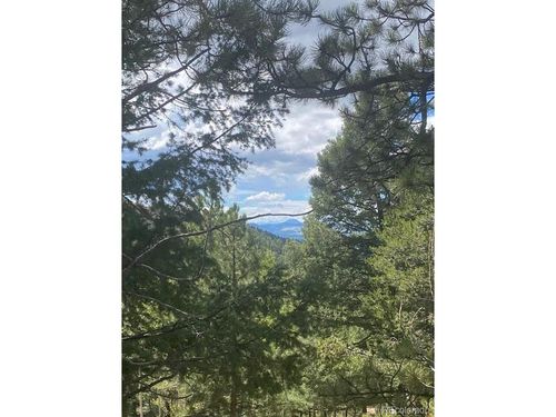 216 Troy Dr, Cripple Creek, CO, 80813-9595 | Card Image