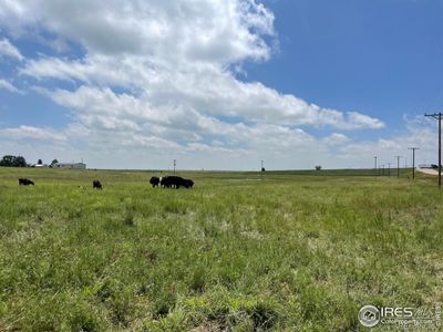 Currently used as 9 acres of pasture grazing for cattle and horses. | Image 2