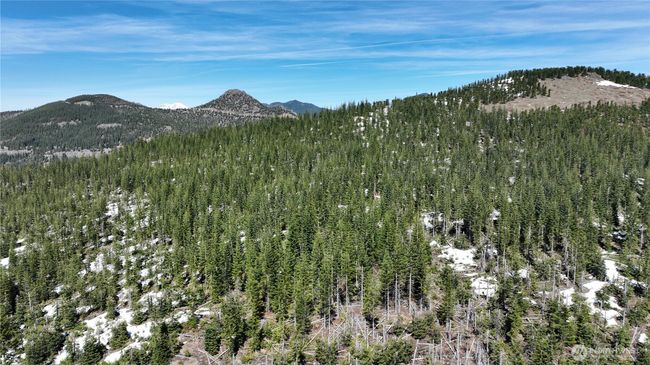 0 xxxx Spirit Lake Hwy, Home with 0 bedrooms, 0 bathrooms and null parking in Stevenson WA | Image 17