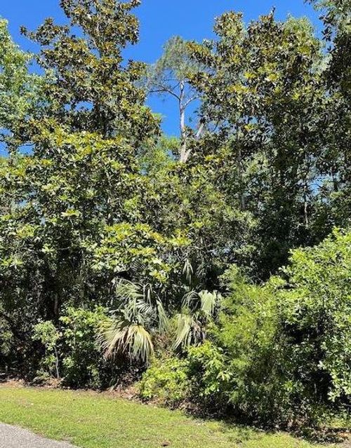 135 Water Oaks Way, Apalachicola, FL, 32320-4003 | Card Image