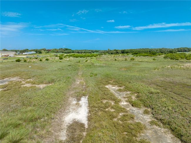 Over grown road | Image 11