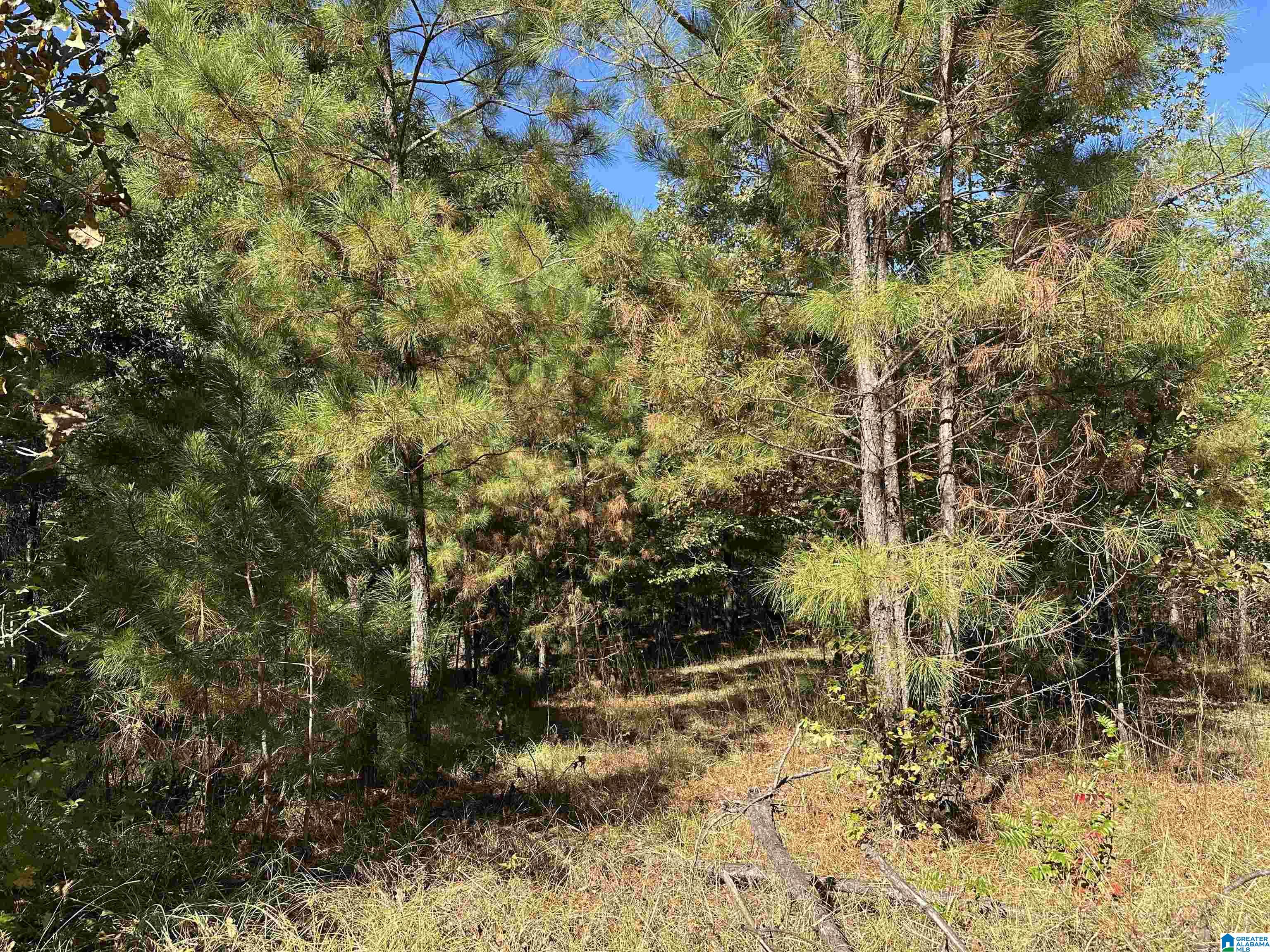 Land in VINCENT 5