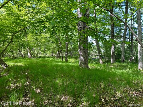 000 Loggingtrail Dr, Sears, MI, 49679 | Card Image