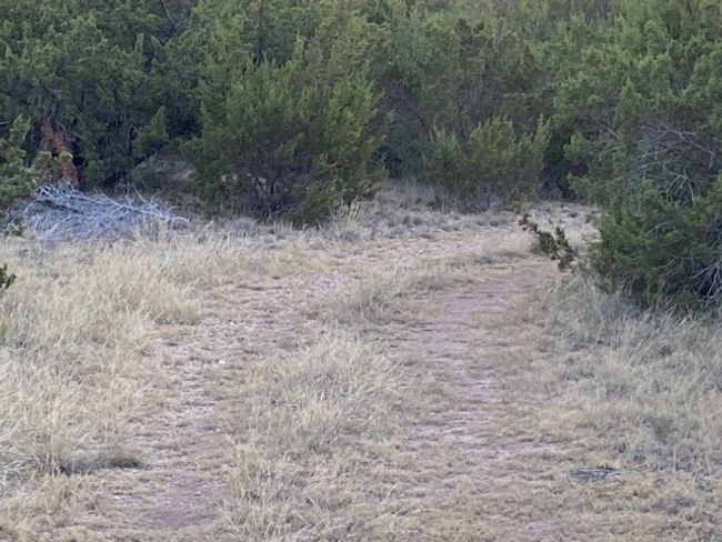 000 Private Rd 3922, Home with 0 bedrooms, 0 bathrooms and null parking in Miles TX | Image 7