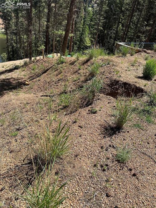 67 Gerka Ln, Florissant, CO, 80816-8001 | Card Image