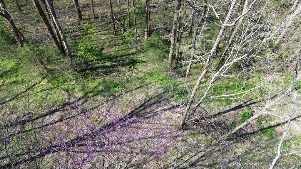 Land in Smithville 4
