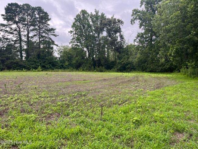 3508 Sheep Pasture Rd, Home with 0 bedrooms, 0 bathrooms and null parking in Spring Hope NC | Image 7
