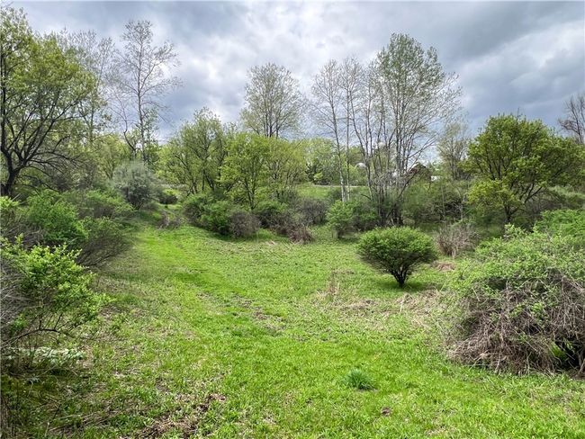 0 Short Rd, Home with 0 bedrooms, 0 bathrooms and null parking in Spencer NY | Image 8