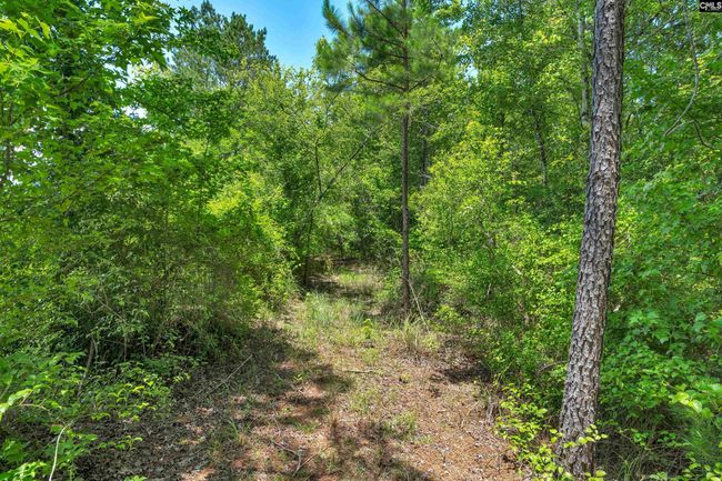 0000 N Brewington Rd, Home with 0 bedrooms, 0 bathrooms and null parking in Manning SC | Image 66