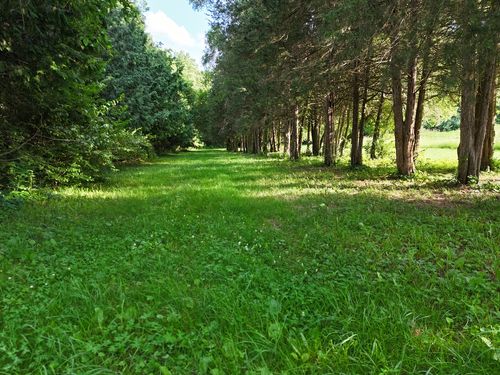 1441 W Fairview Rd, FREEPORT, IL, 61032-8585 | Card Image