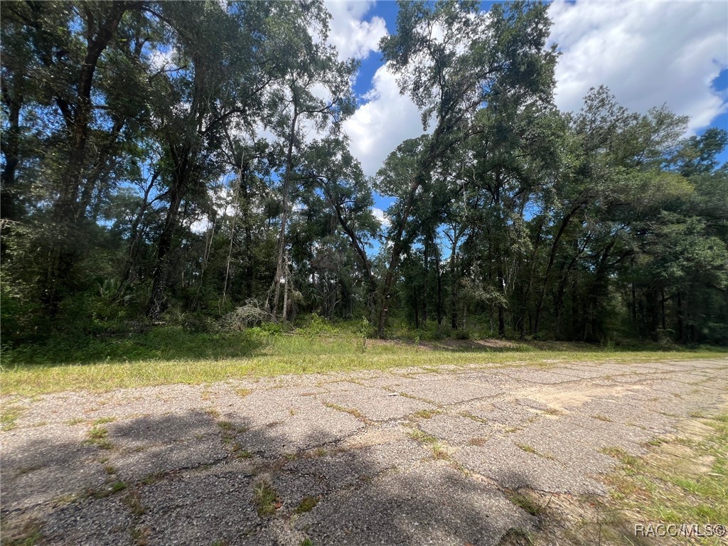 Land in Dunnellon