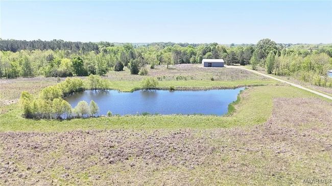 344 Dani Ln, Home with 0 bedrooms, 0 bathrooms and null parking in Mathews AL | Image 8