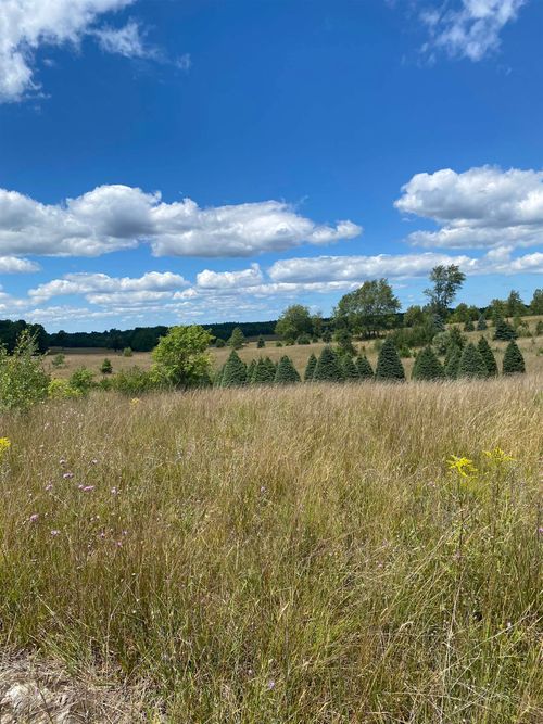 17.5 A Creighton Road, Springfield Township, MI, 49680 | Card Image