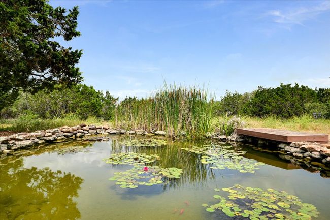 It's always fun to watch the activity in the pond! A new bloom, the trickling sounds of the fall, the activity of the Dragonflys. The animal natural wildlife enjoys the drink, the grass, the solitude. There is a long list of fauna the seller has shared. | Image 27