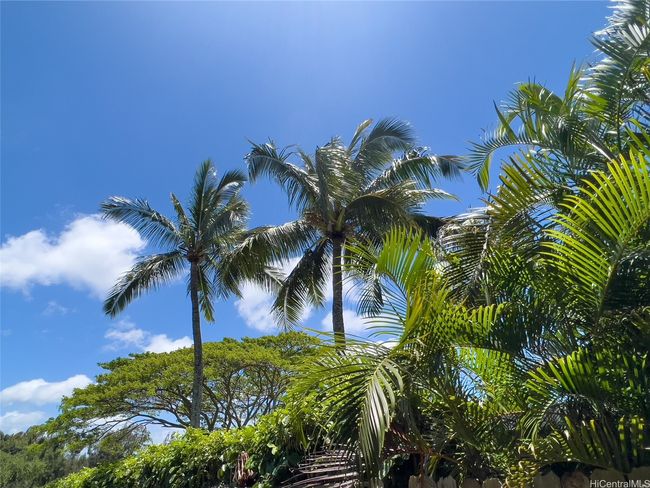 59-439 Alapio Rd, Home with 0 bedrooms, 0 bathrooms and null parking in Haleiwa HI | Image 22