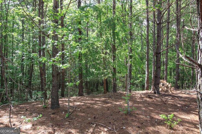 1040 Bridlegate Dr, Home with 0 bedrooms, 0 bathrooms and null parking in Watkinsville GA | Image 9