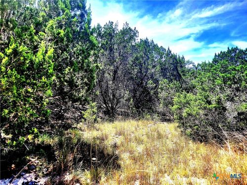 1680 Stallion Springs Dr, Fischer, TX, 78623-1804 | Card Image