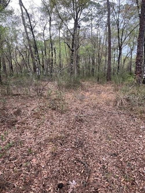 00 Packingham Dr, Webster, FL, 33597 | Card Image