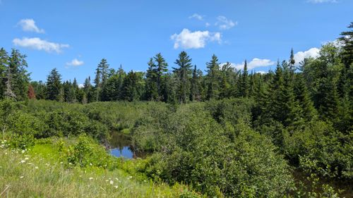 10279 Adirondack Trl, Malone, NY, 12953 | Card Image