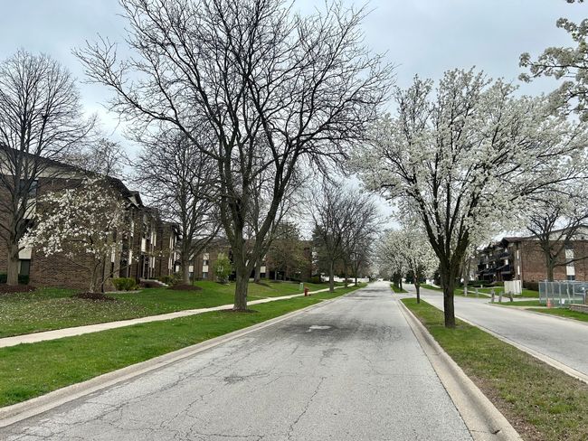 APT-1310 - 5231 James Ln, Condo with 2 bedrooms, 2 bathrooms and 2 parking in Crestwood IL | Image 4