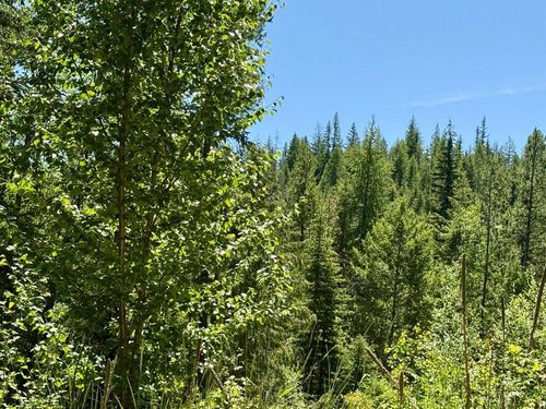 TBD Perenlandra Cir, Other, WA, 99121 | Card Image