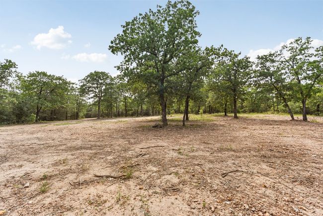 View of landscape | Image 8