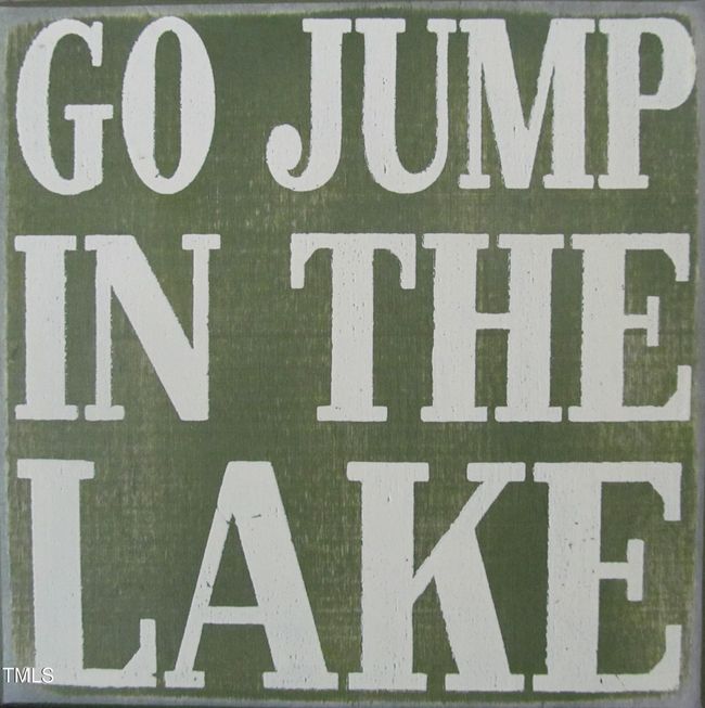 Go Jump in the lake | Image 15