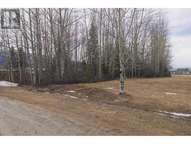 1105 S Frontage Rd, Home with 0 bedrooms, 0 bathrooms and null parking in Mcbride BC | Image 6