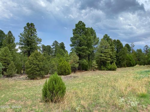 2026 State Route 277, Heber, AZ, 85928 | Card Image