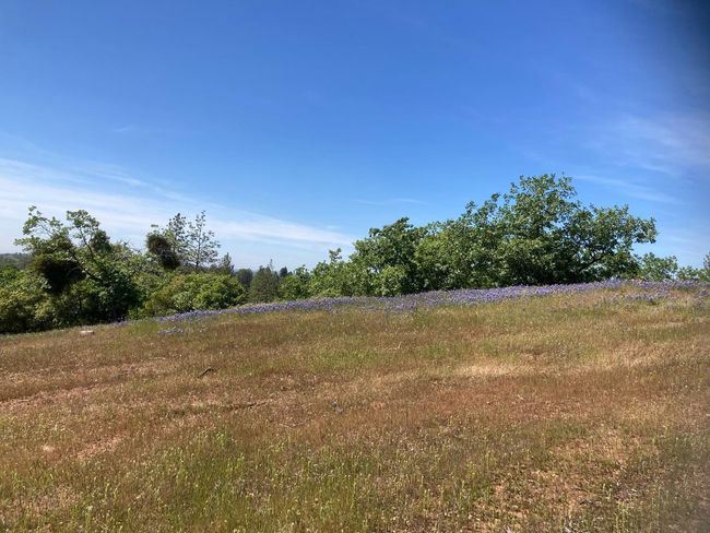 16688 Sonshine Ln, Home with 0 bedrooms, 0 bathrooms and null parking in Sutter Creek CA | Image 41