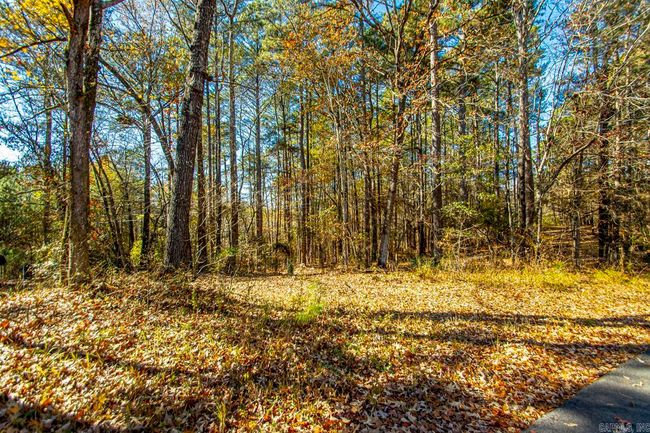 001-09449-000 Prysock Road, Home with 0 bedrooms, 0 bathrooms and null parking in Benton AR | Image 23