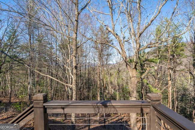 12 - 60 Laurel Ridge Ct, House other with 3 bedrooms, 3 bathrooms and 6 parking in Ellijay GA | Image 16