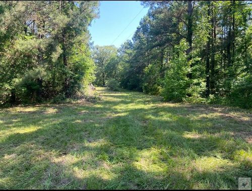 TBD County Road 3992, Bloomburg, TX, 75556 | Card Image